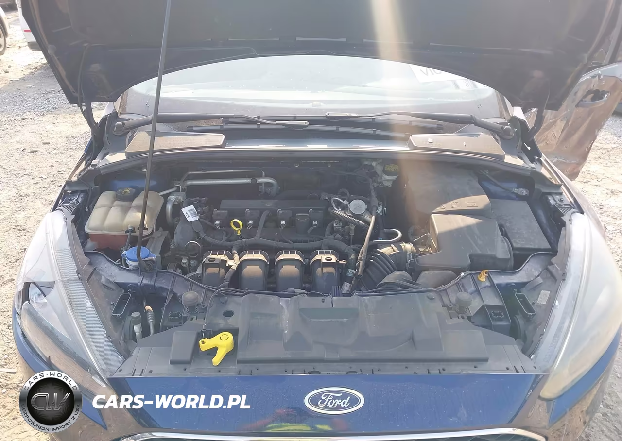 2016 Ford Focus Se VIN:1FADP3K22GL382155 - 10