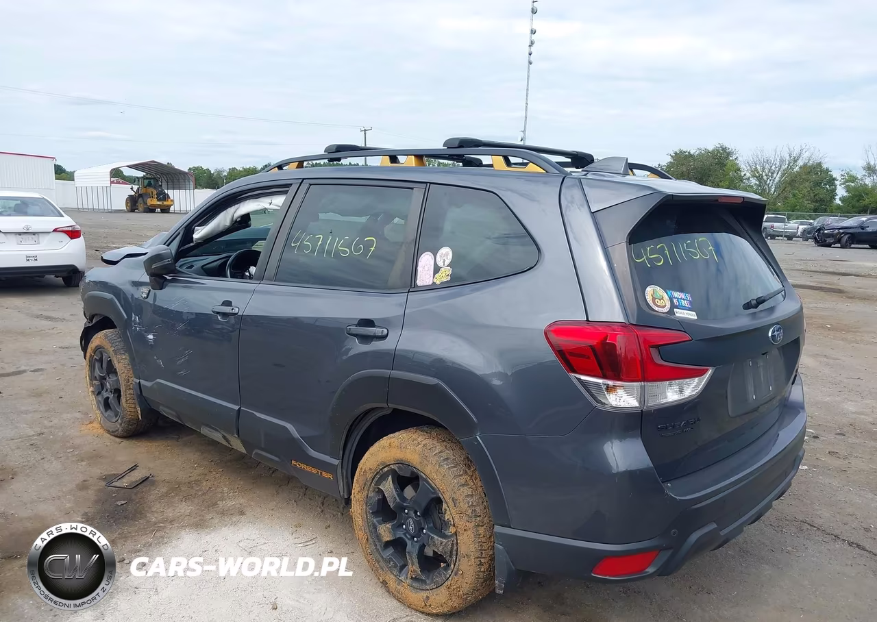 2022 Subaru Forester Wilderness VIN:JF2SKAMC5NH419856 - 3