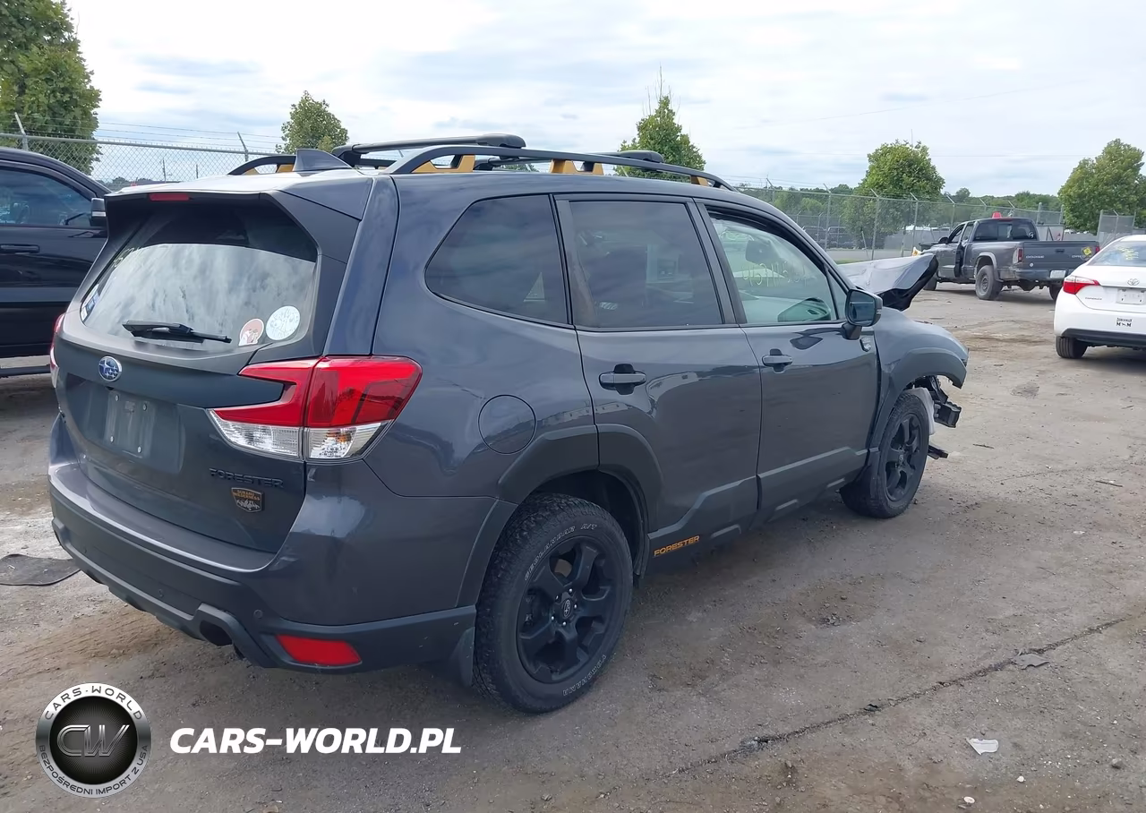 2022 Subaru Forester Wilderness VIN:JF2SKAMC5NH419856 - 4