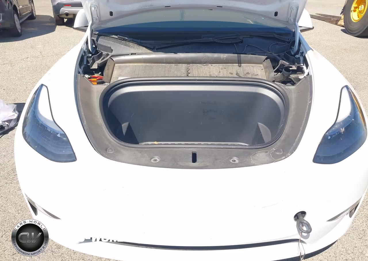 2024 Tesla Model Y Long Range Dual Motor All-Wheel Drive VIN:7SAYGAEE1RF169051 - 10