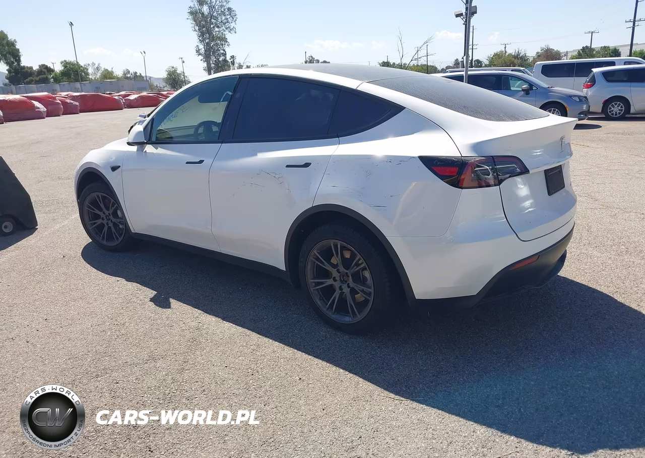 2024 Tesla Model Y Long Range Dual Motor All-Wheel Drive VIN:7SAYGAEE1RF169051 - 3