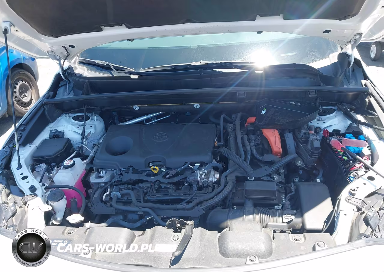 2023 Toyota Venza Xle VIN:JTEAAAAH4PJ131718 - 10