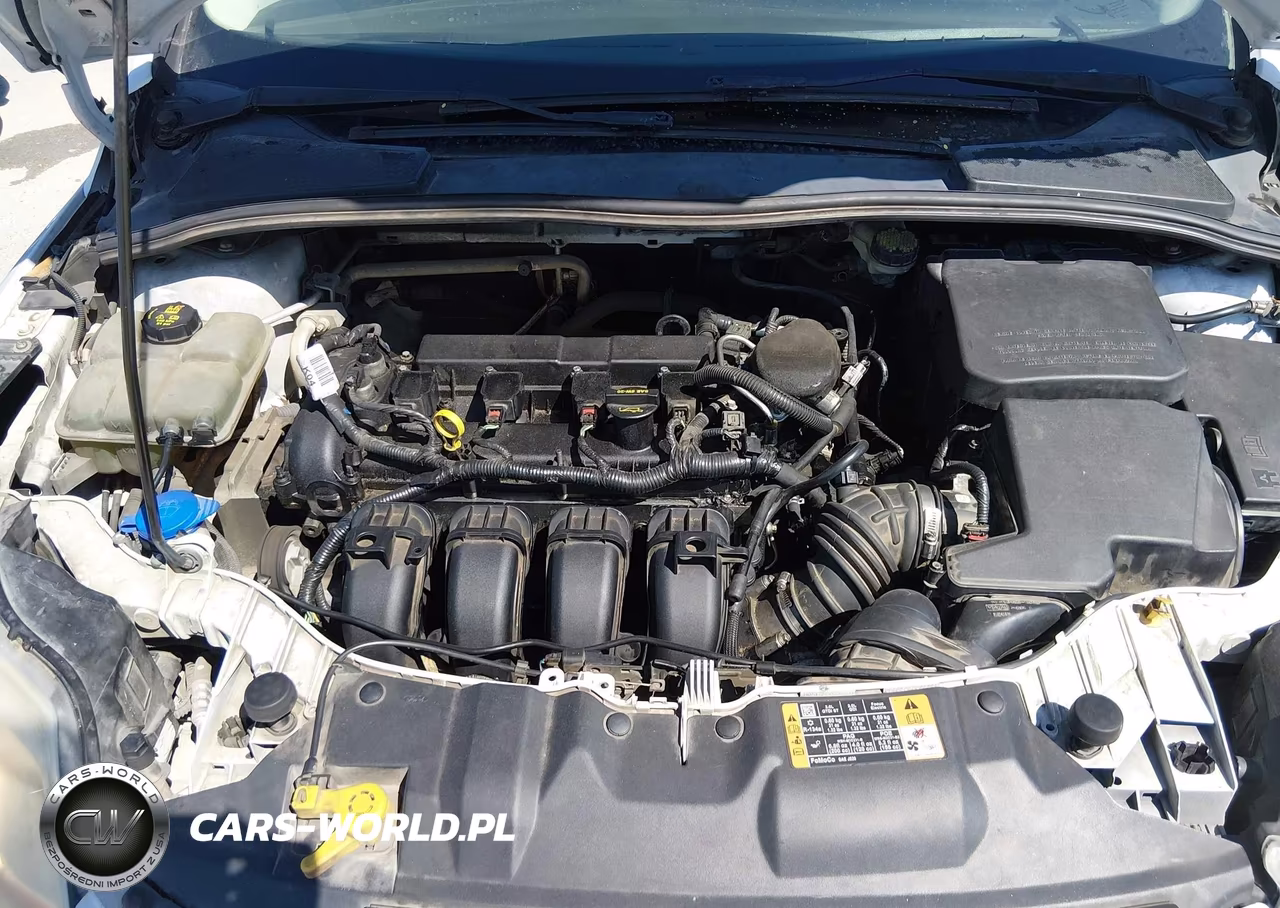 2014 Ford Focus Se VIN:1FADP3K25EL325459 - 10