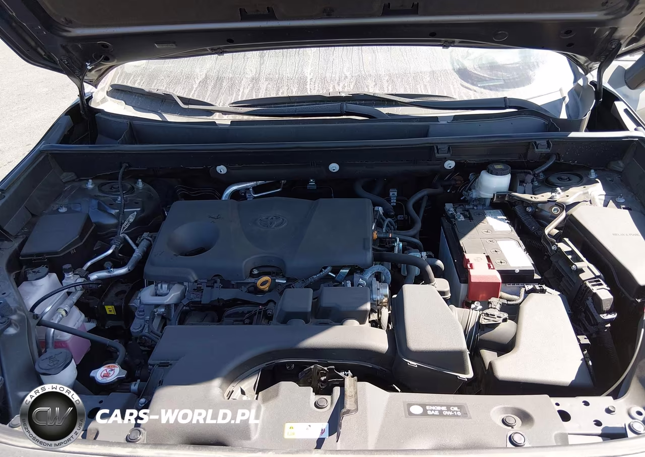 2024 Toyota Rav4 Xle Premium VIN:2T3C1RFV3RW305132 - 10
