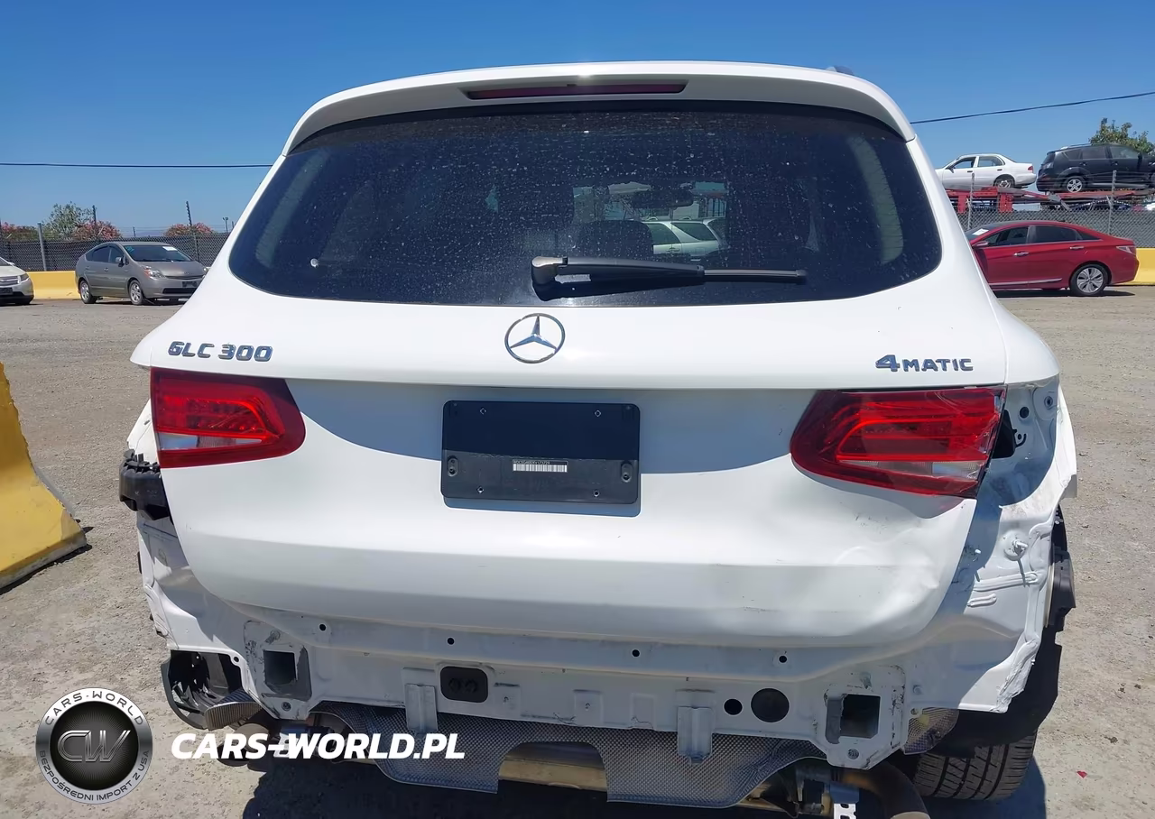 2019 Mercedes-Benz Glc 300 4Matic VIN:WDC0G4KB2KV173729 - 17