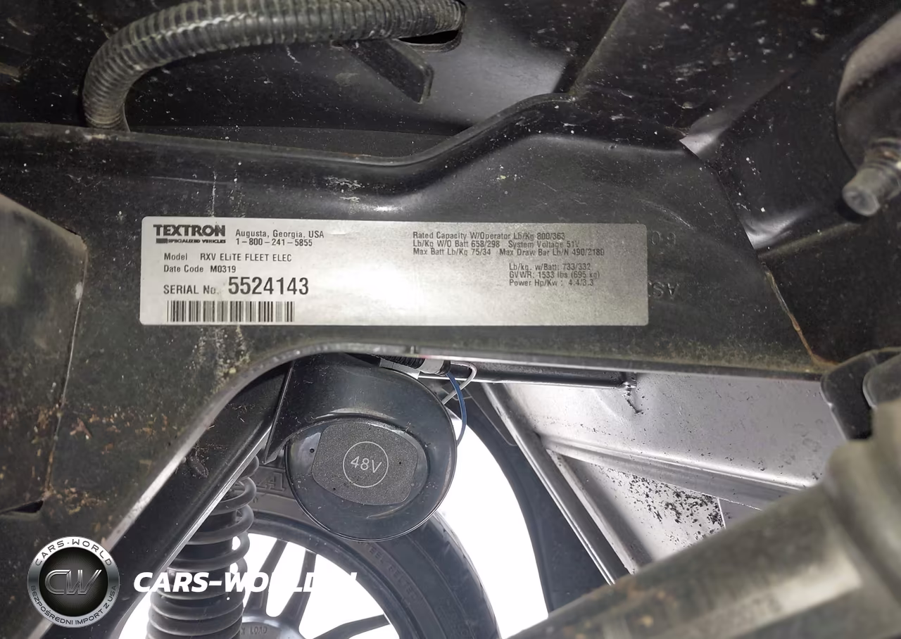 2019 Ez-Go Golf Cart VIN:5524143 - 10