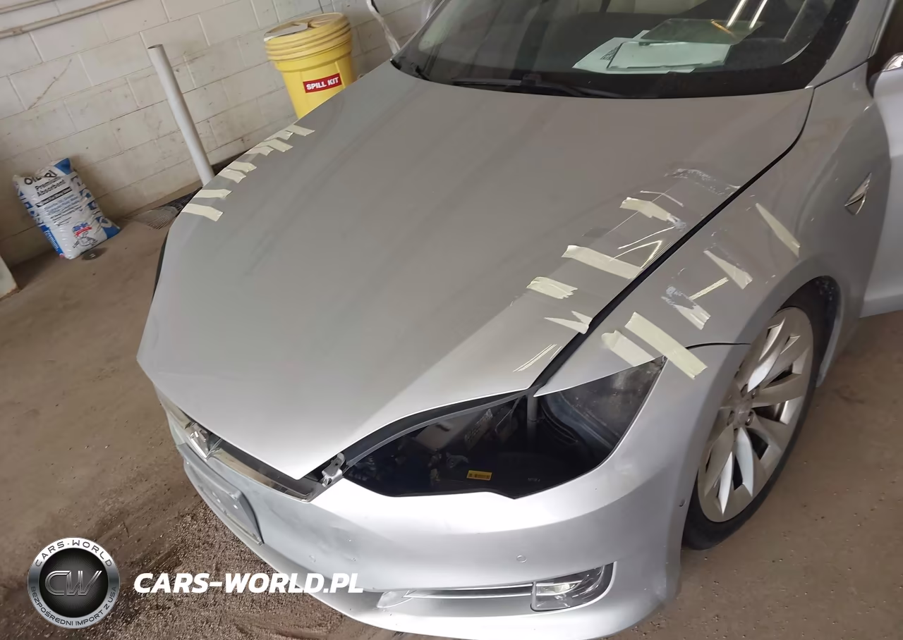 2017 Tesla Model S 100D-60D-75D-90D-P100D VIN:5YJSA1E24HF211012 - 6