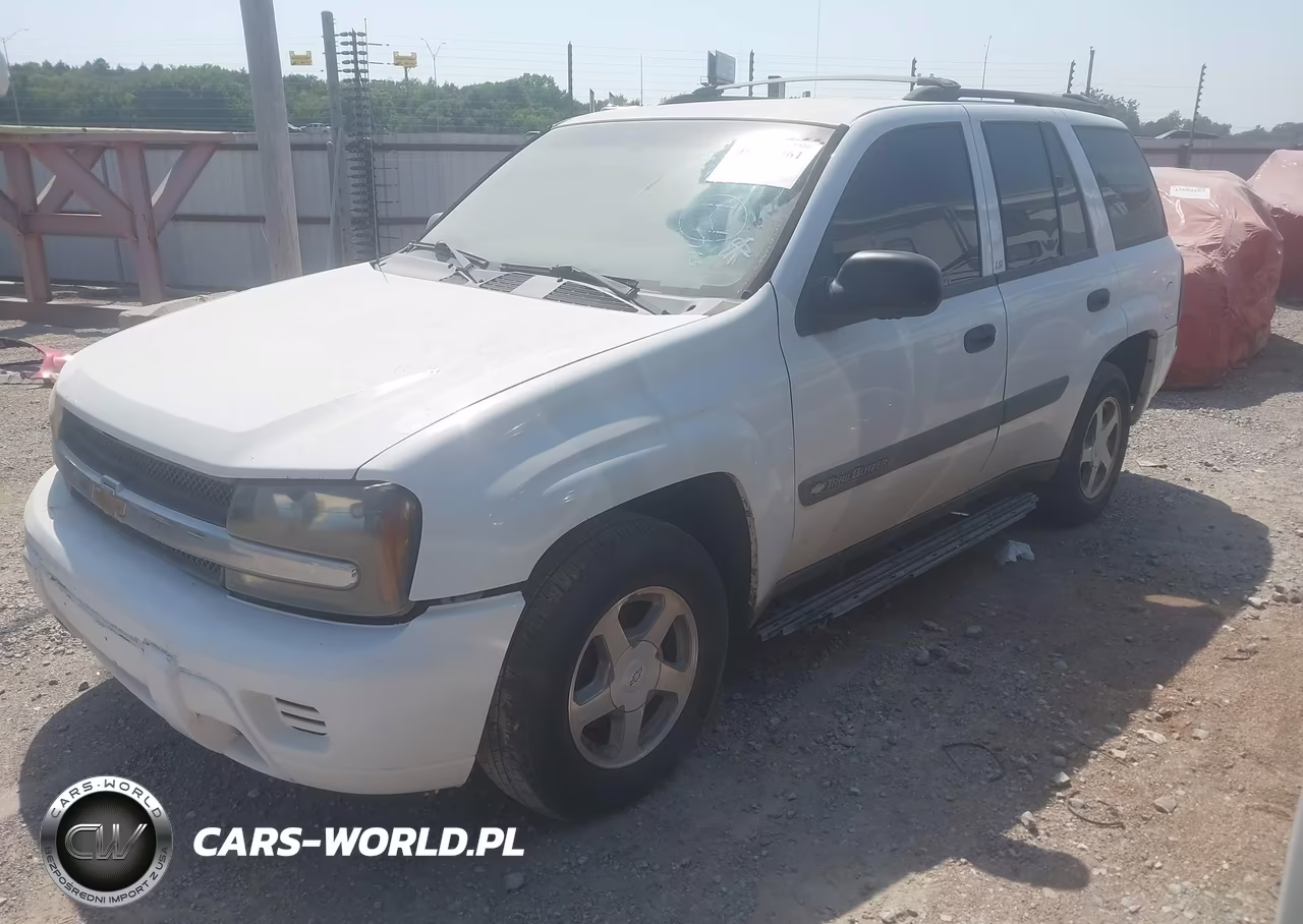 2004 Chevrolet Trailblazer Ls VIN:1GNDT13S642311347 - 2