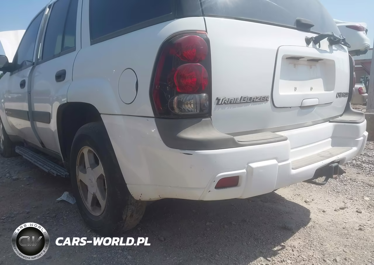 2004 Chevrolet Trailblazer Ls VIN:1GNDT13S642311347 - 6