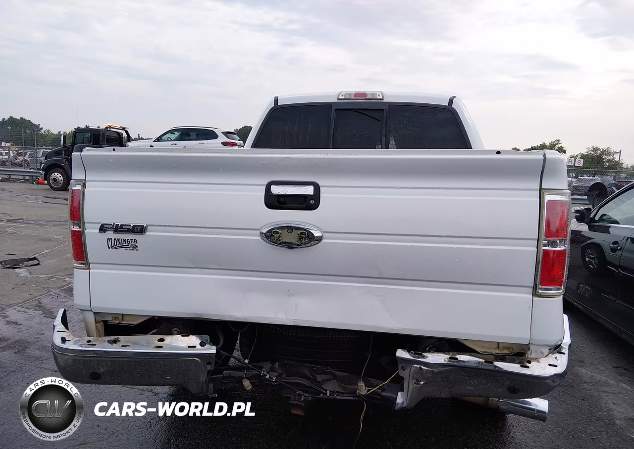 2012 Ford F-150 Fx2-King Ranch-Lariat-Platinum-Xl-Xlt VIN:1FTFW1CT3CKE14824 - 17