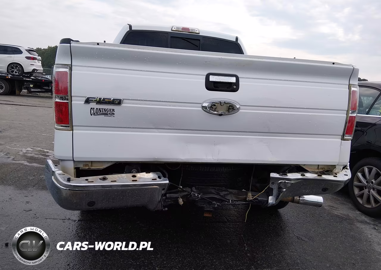 2012 Ford F-150 Fx2-King Ranch-Lariat-Platinum-Xl-Xlt VIN:1FTFW1CT3CKE14824 - 6