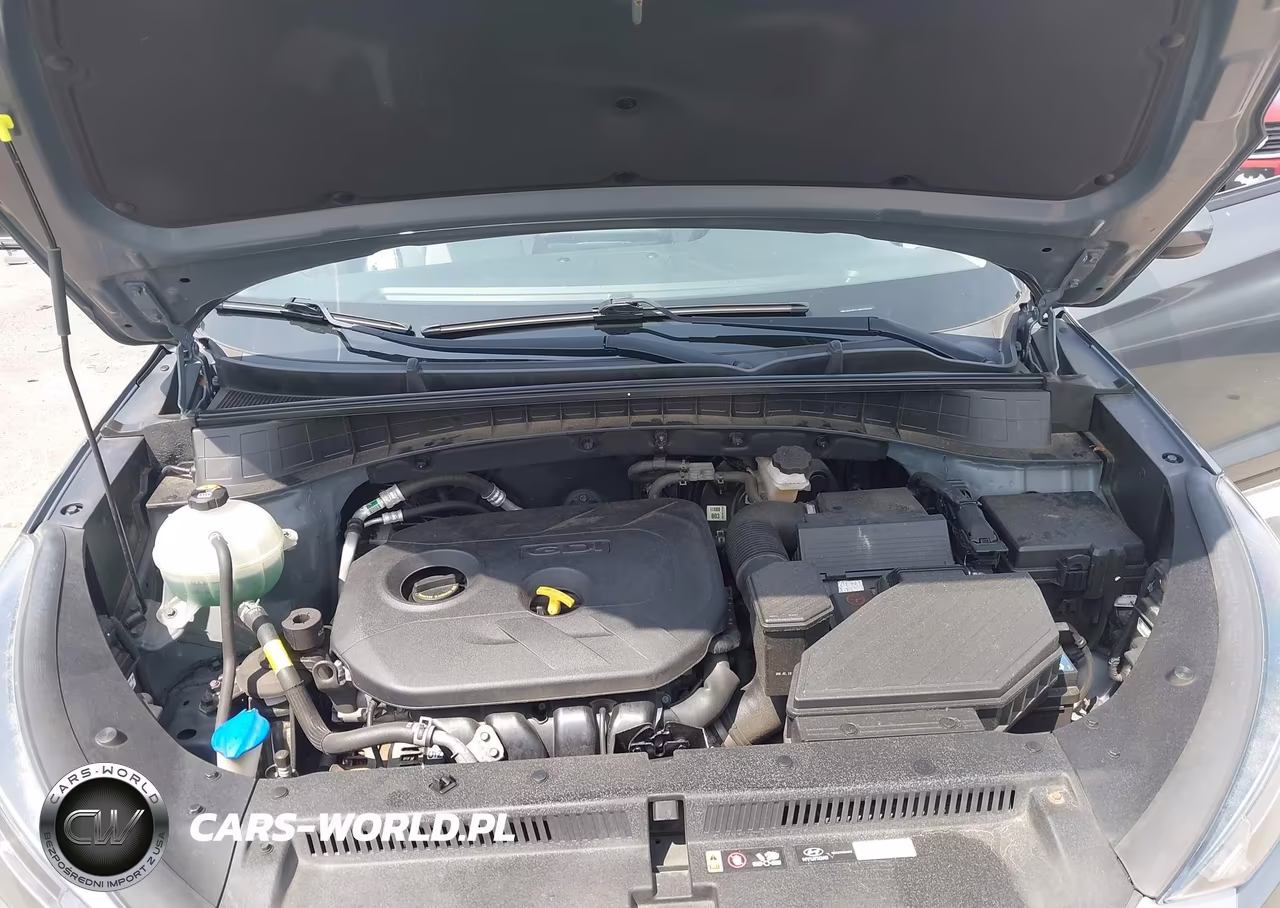 2019 Hyundai Tucson Value VIN:KM8J33A43KU973458 - 10