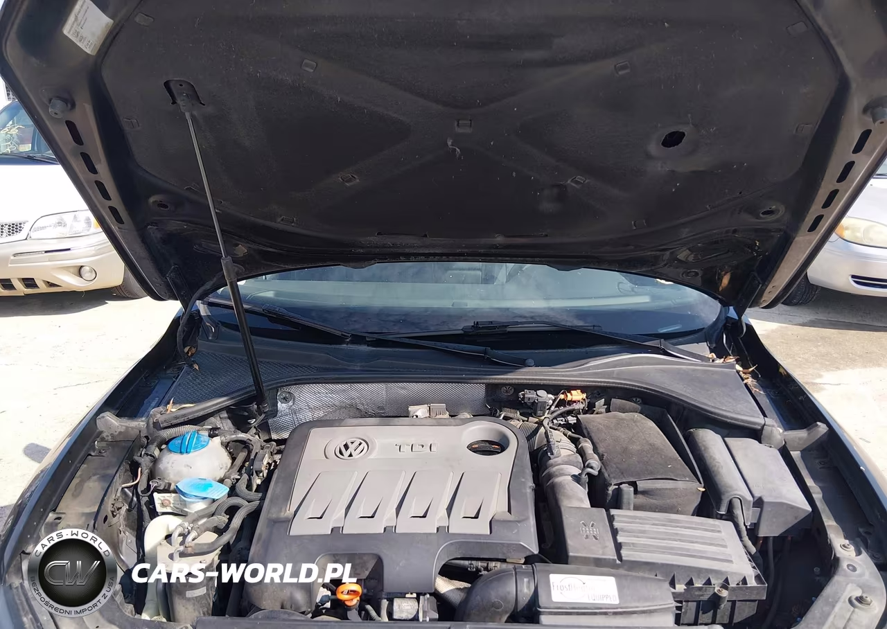 2013 Volkswagen Passat 2.0L Tdi Se VIN:1VWBN7A30DC120250 - 10