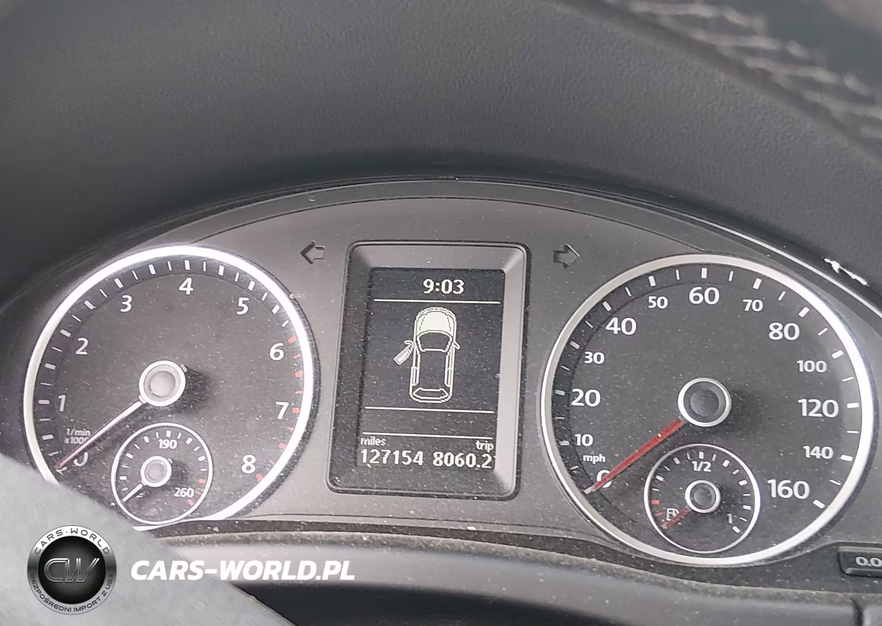 2010 Volkswagen Tiguan Wolfsburg Edition VIN:WVGAV7AX7AW003191 - 7