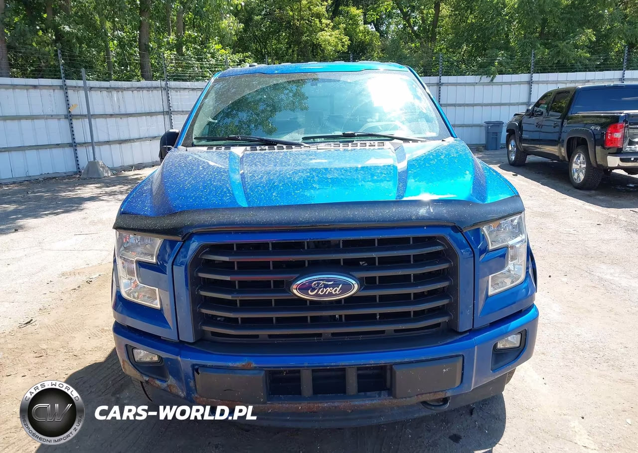 2017 Ford F-150 Xlt VIN:1FTEX1EP9HFA84969 - 12