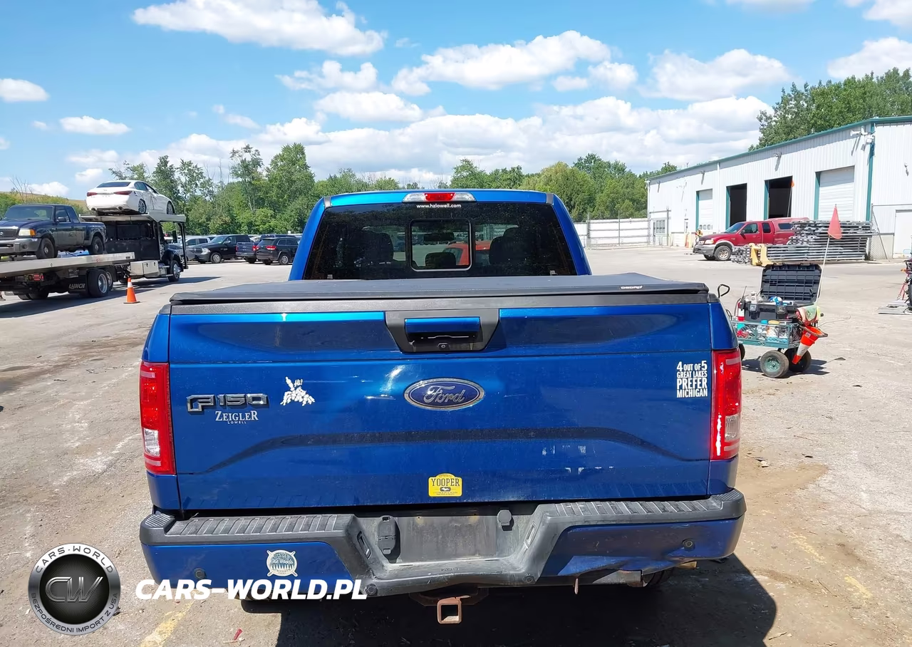 2017 Ford F-150 Xlt VIN:1FTEX1EP9HFA84969 - 16