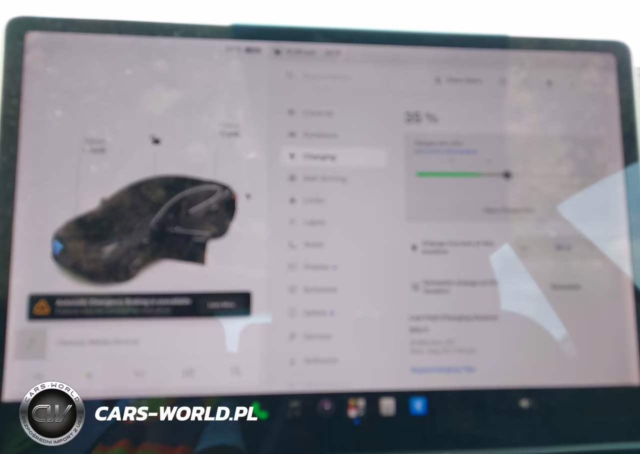 2020 Tesla Model 3 Performance Dual Motor All-Wheel Drive VIN:5YJ3E1EC8LF602013 - 17