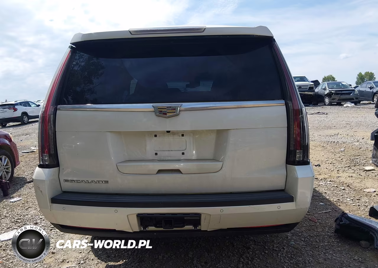 2015 Cadillac Escalade Esv Premium VIN:1GYS4TKJ3FR611384 - 17