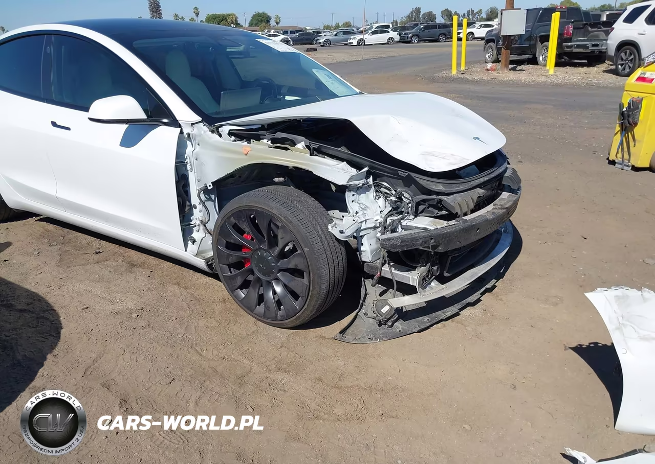 2021 Tesla Model 3 Performance Dual Motor All-Wheel Drive VIN:5YJ3E1EC0MF093696 - 20