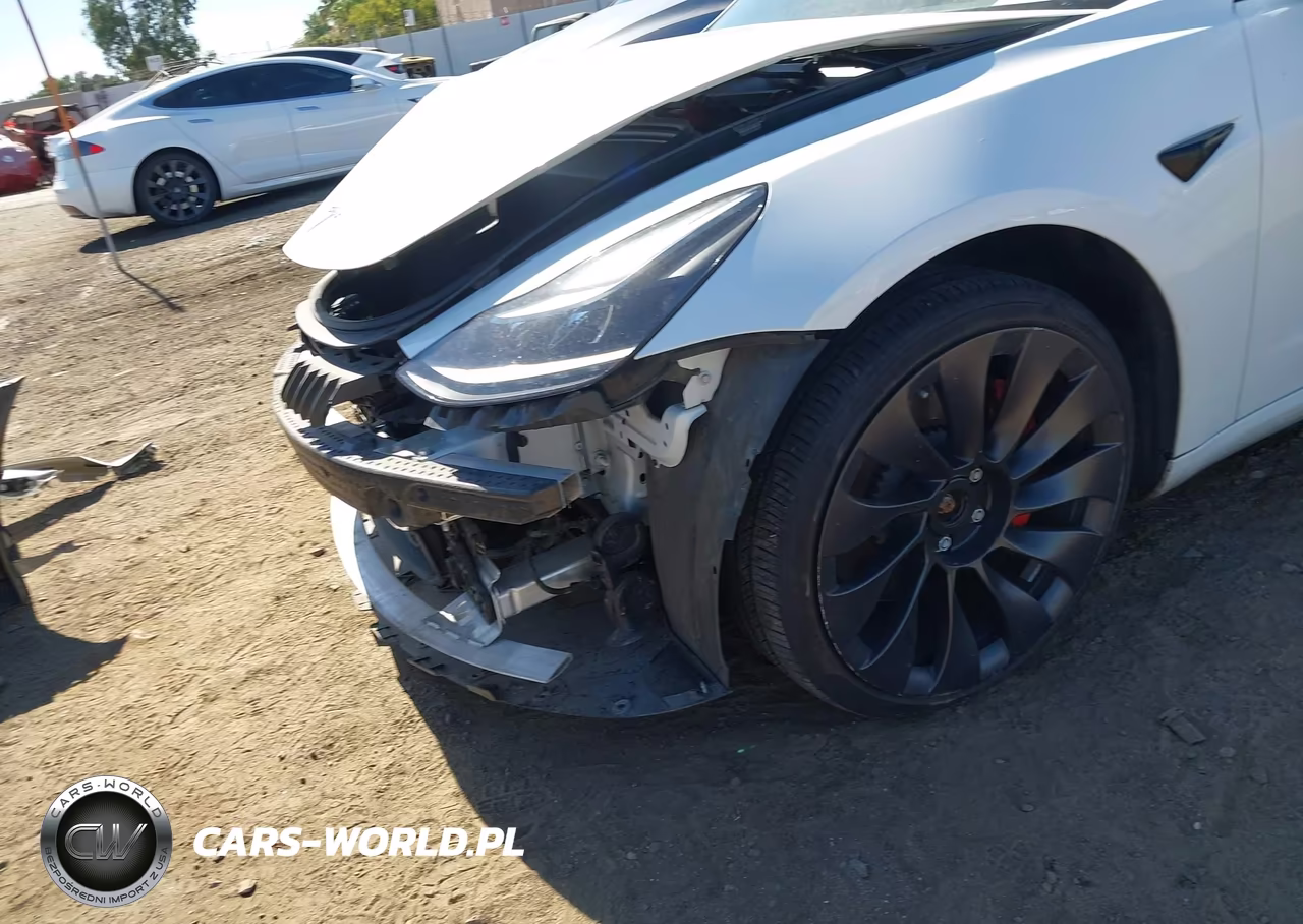 2021 Tesla Model 3 Performance Dual Motor All-Wheel Drive VIN:5YJ3E1EC0MF093696 - 22