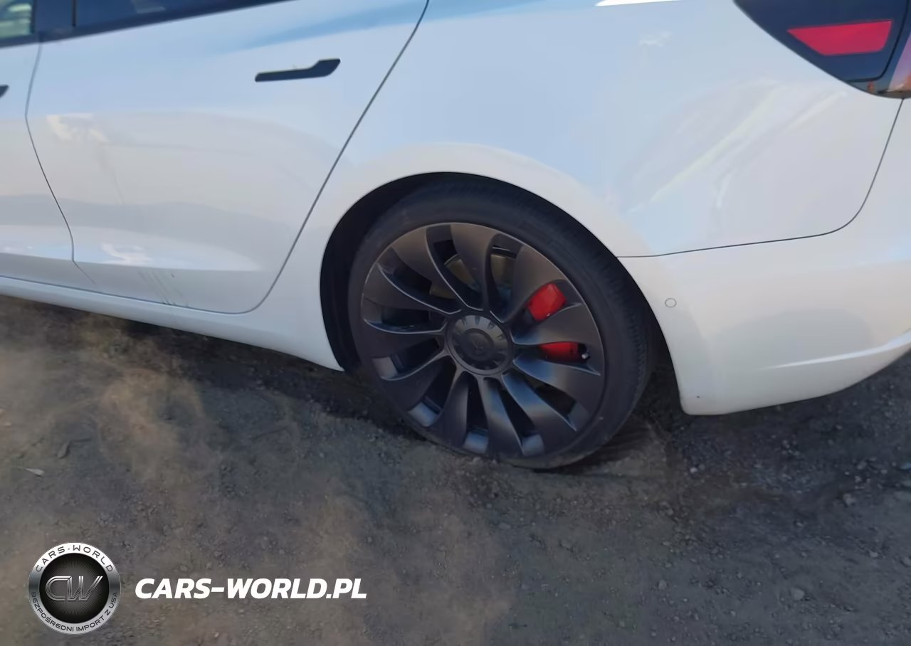 2021 Tesla Model 3 Performance Dual Motor All-Wheel Drive VIN:5YJ3E1EC0MF093696 - 23