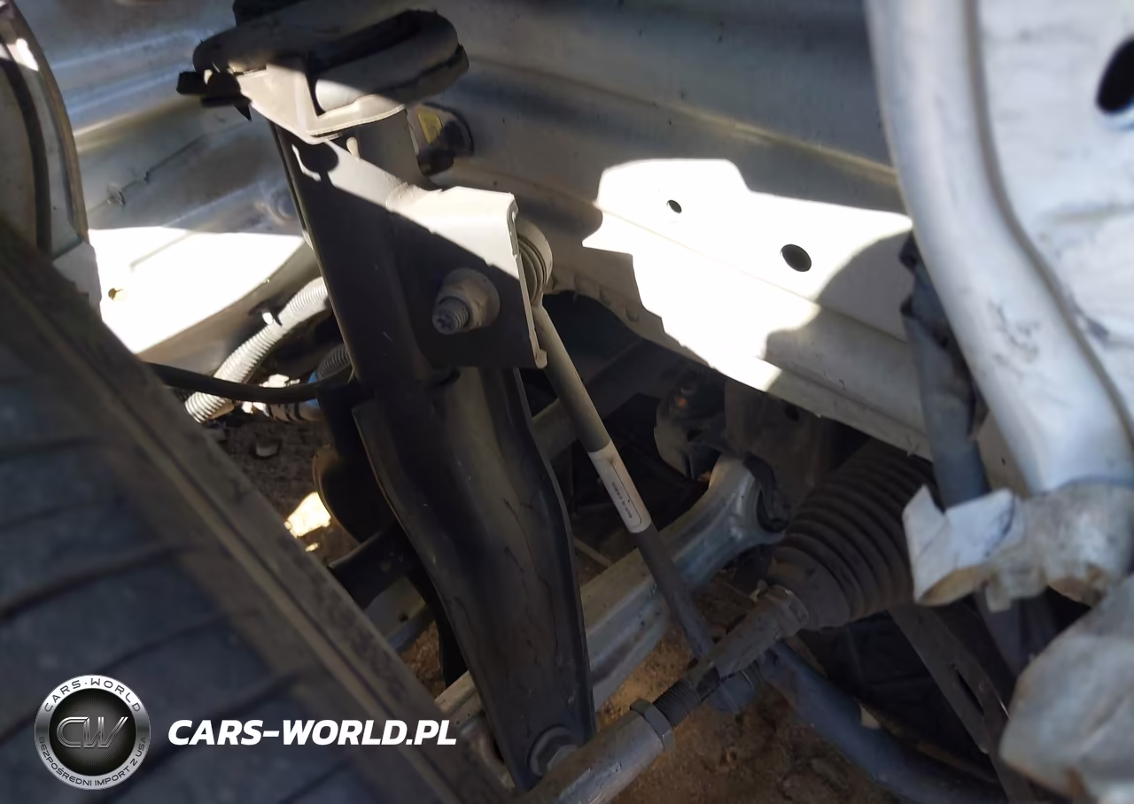 2021 Tesla Model 3 Performance Dual Motor All-Wheel Drive VIN:5YJ3E1EC0MF093696 - 24