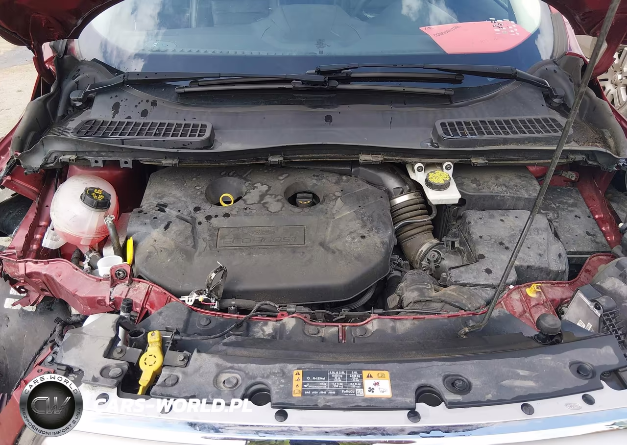 2019 Ford Escape Titanium VIN:1FMCU9J94KUA95026 - 10