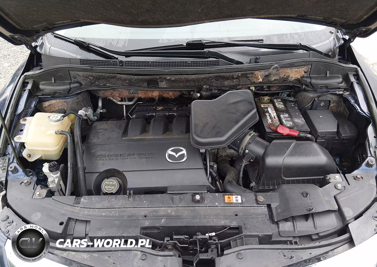2010 Mazda Cx-9 Touring VIN:JM3TB3MA6A0238004 - 10