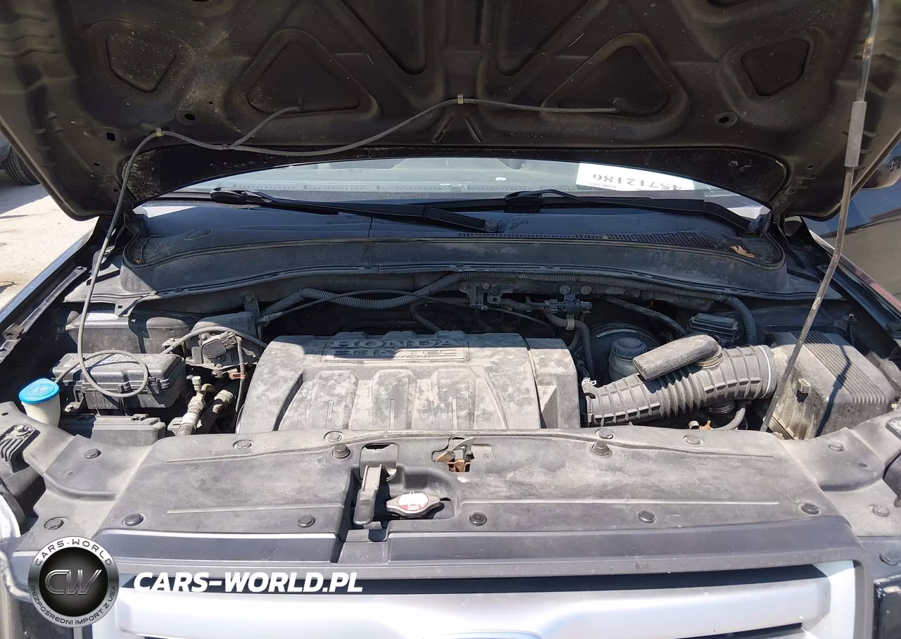 2008 Honda Pilot Se VIN:5FNYF28378B025955 - 10