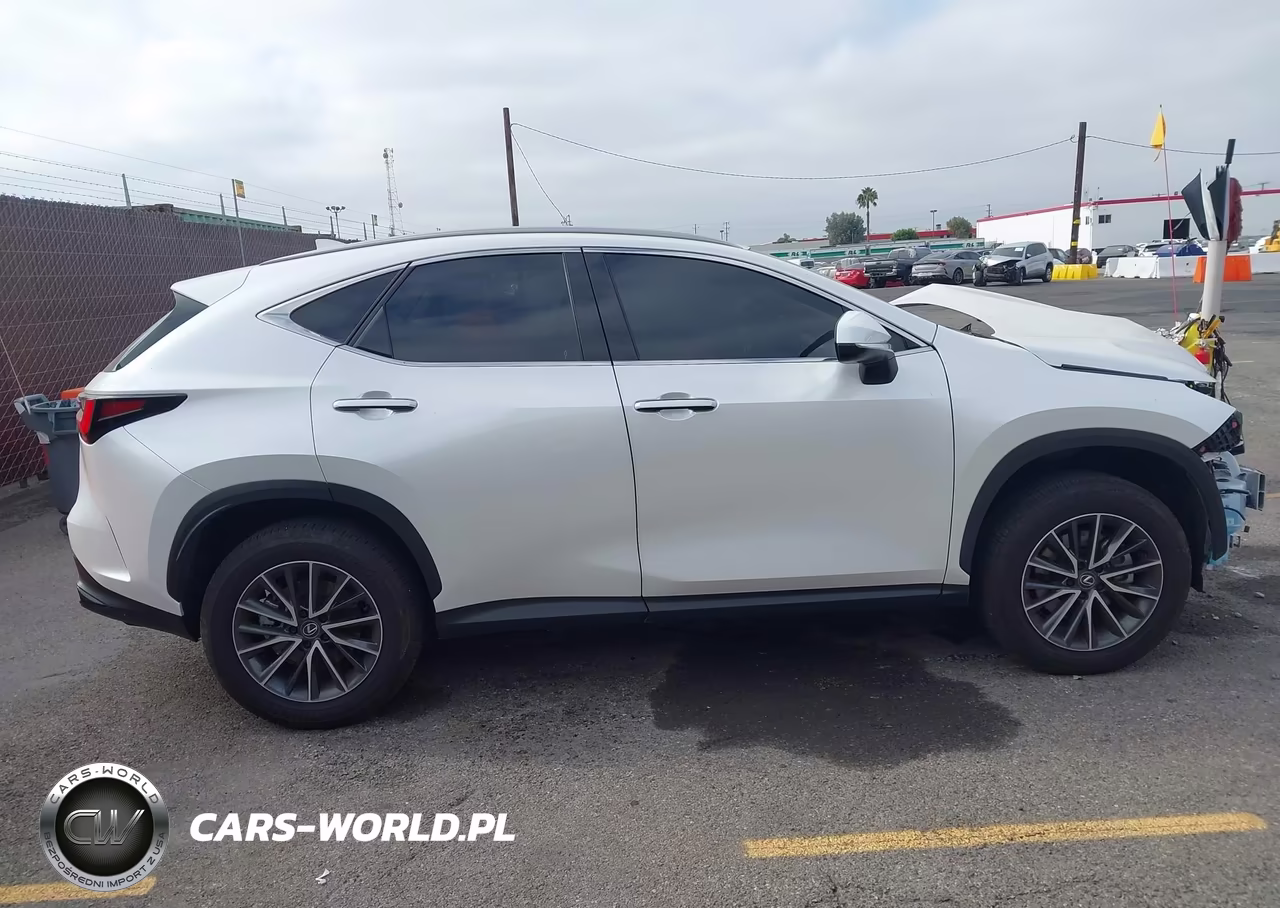 2024 Lexus Nx 350H Premium VIN:JTJGKCEZ7R2024392 - 13
