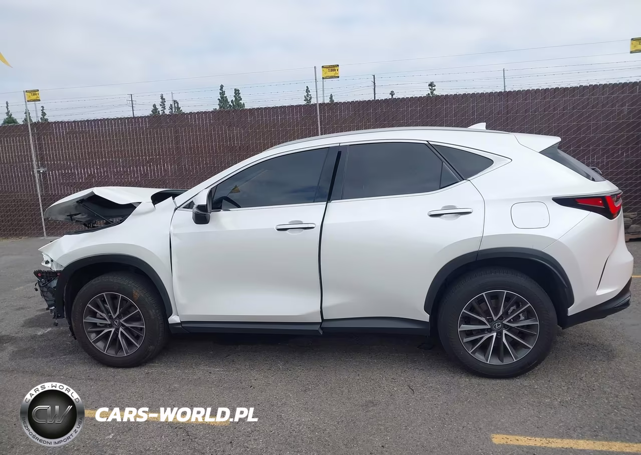 2024 Lexus Nx 350H Premium VIN:JTJGKCEZ7R2024392 - 14