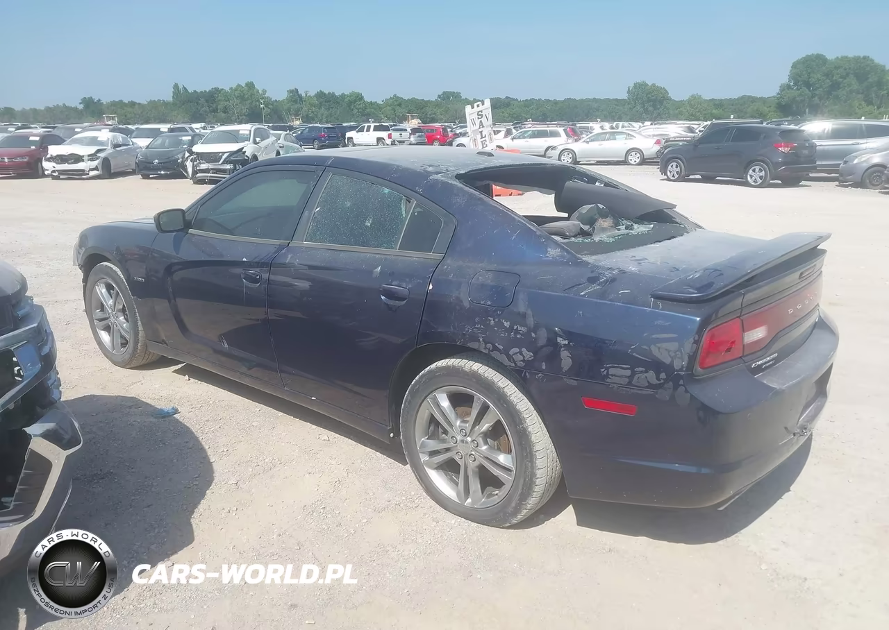 2014 Dodge Charger R-T VIN:2C3CDXDT0EH161504 - 15