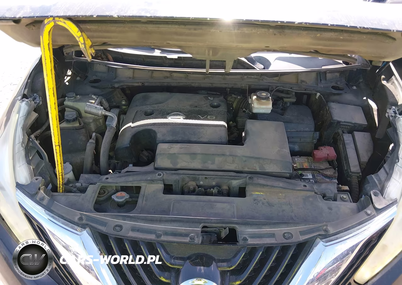 2016 Nissan Murano Platinum-S-Sl-Sv VIN:5N1AZ2MG5GN118986 - 10