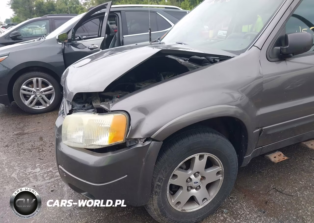 2003 Ford Escape Limited VIN:1FMCU04153KC87909 - 17