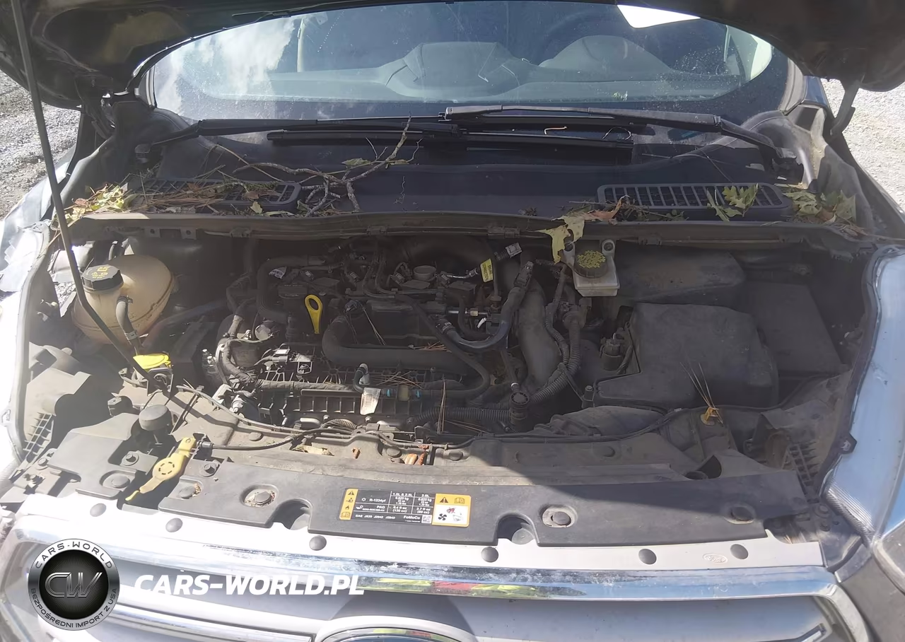 2019 Ford Escape Se VIN:1FMCU0GD3KUC35588 - 10