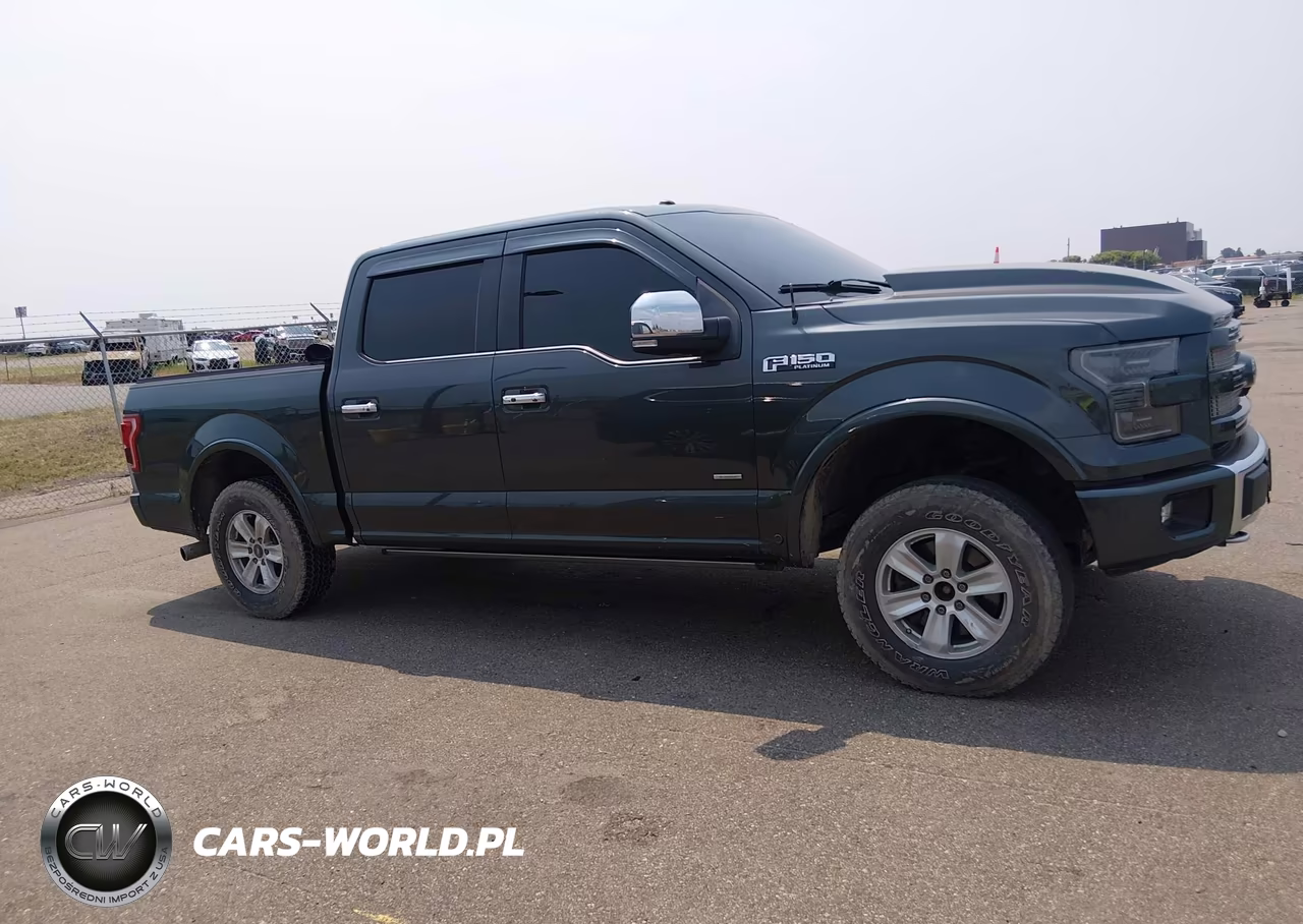2015 Ford F-150 Platinum VIN:1FTEW1EG6FFB78114 - 13