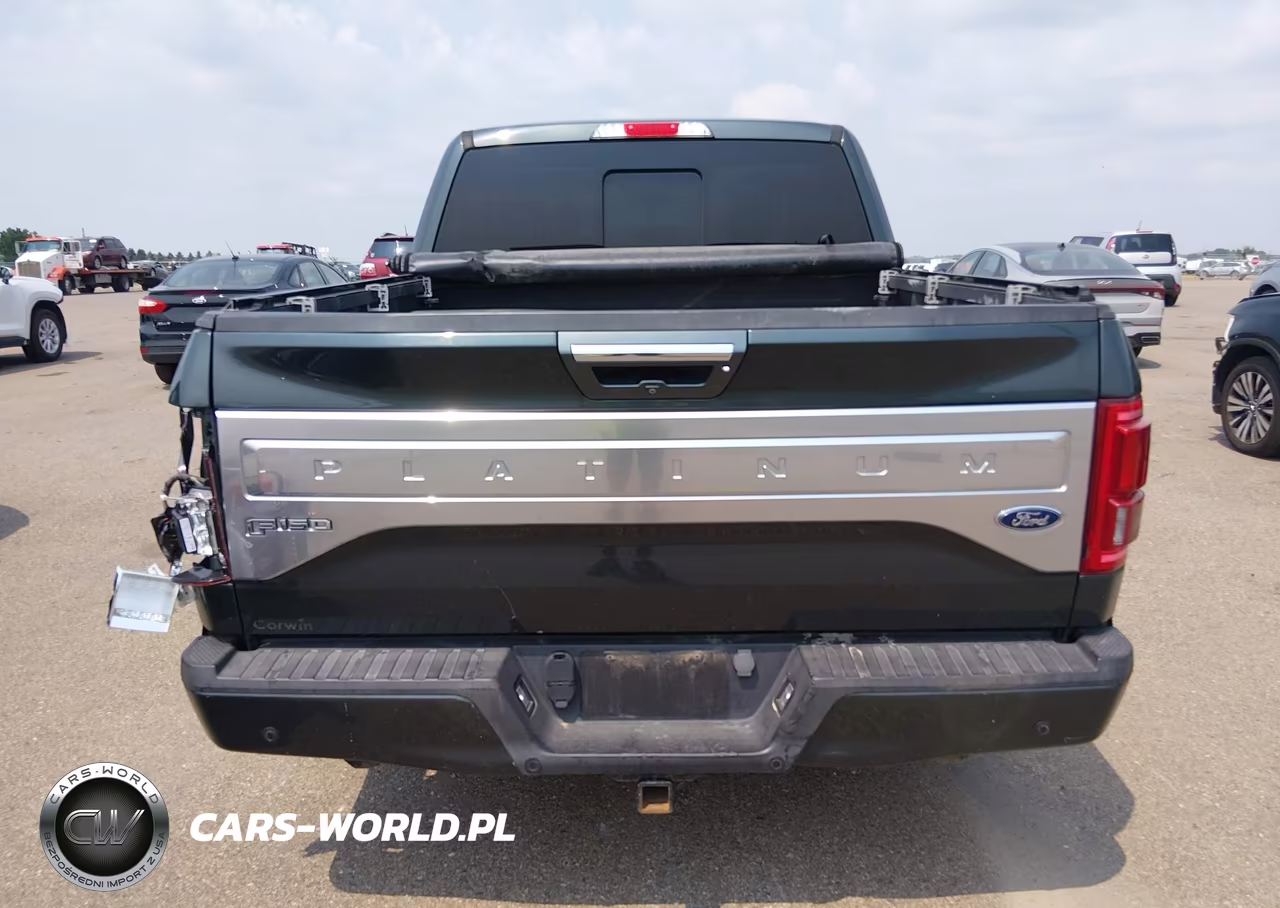 2015 Ford F-150 Platinum VIN:1FTEW1EG6FFB78114 - 16