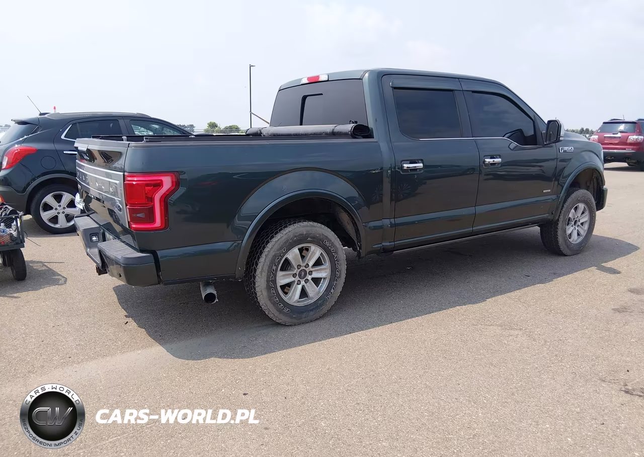 2015 Ford F-150 Platinum VIN:1FTEW1EG6FFB78114 - 4