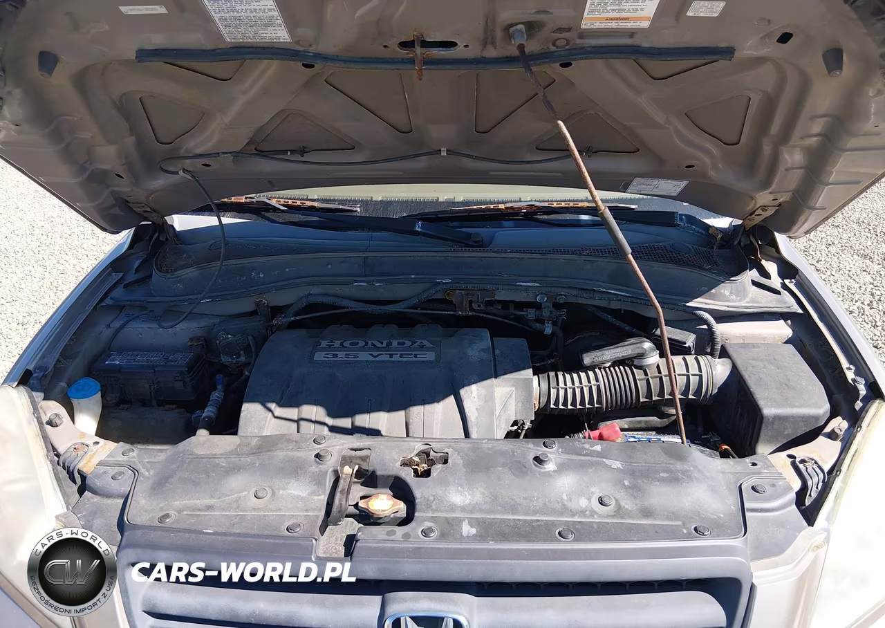 2005 Honda Pilot Ex-L VIN:5FNYF18695B038691 - 10