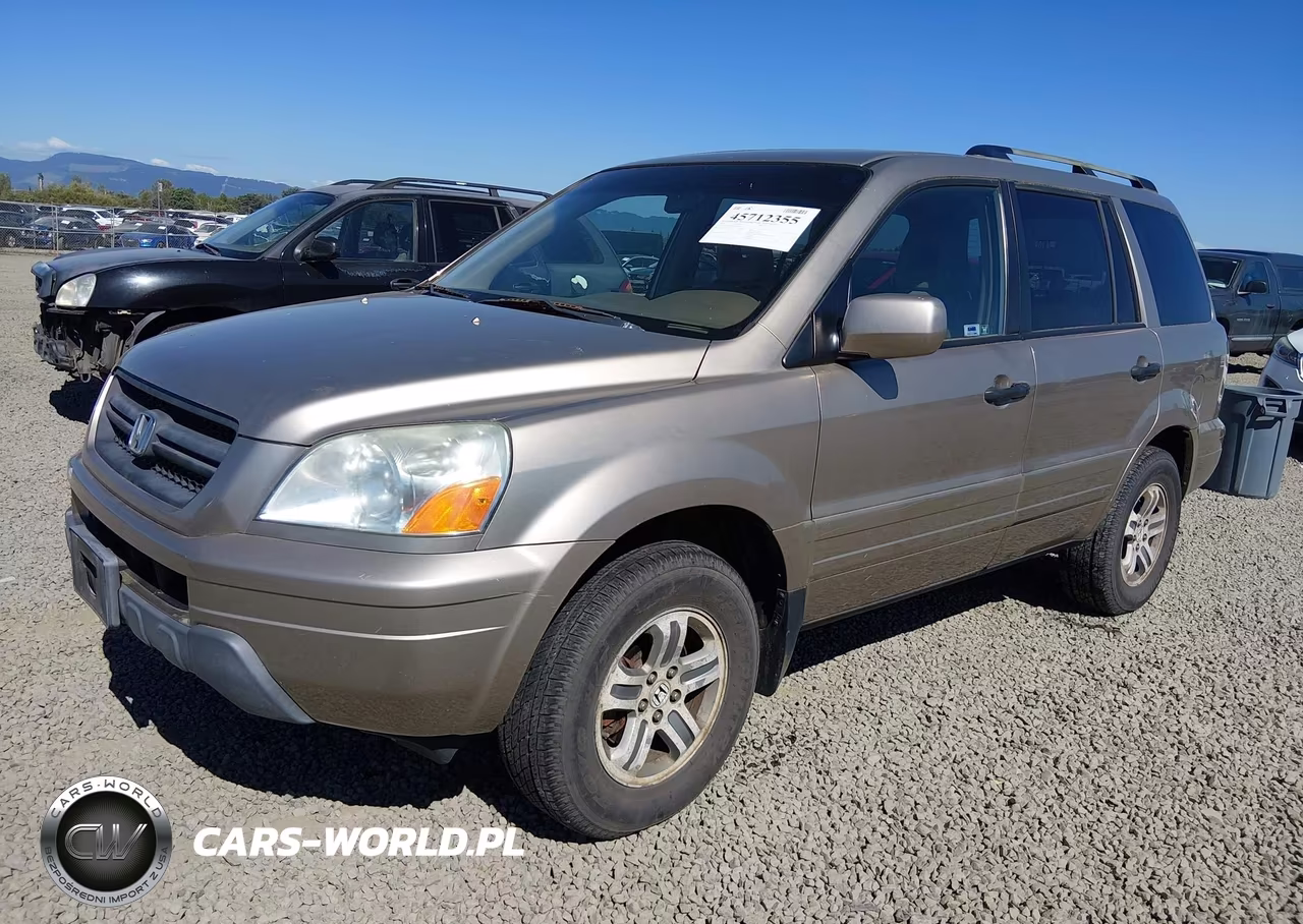 2005 Honda Pilot Ex-L VIN:5FNYF18695B038691 - 2