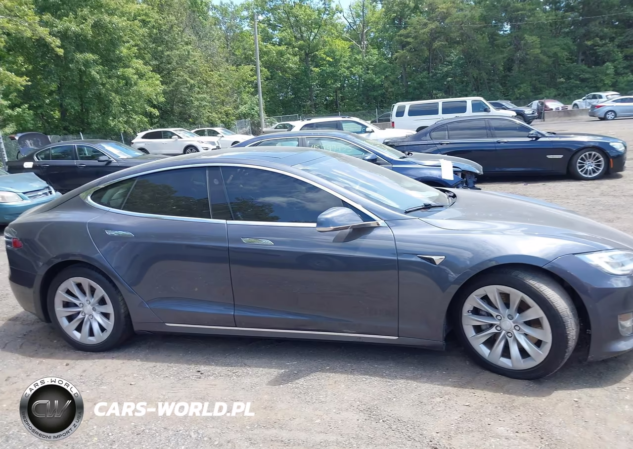 2017 Tesla Model S 100D-60D-75D-90D-P100D VIN:5YJSA1E27HF180144 - 12