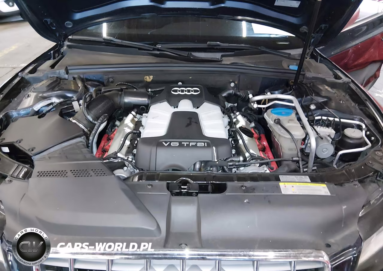 2011 Audi S5 3.0 Premium Plus VIN:WAUVGAFHXBN013295 - 10