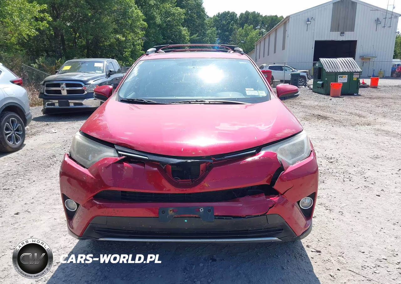 2016 Toyota Rav4 Xle VIN:2T3RFREV3GW446485 - 12