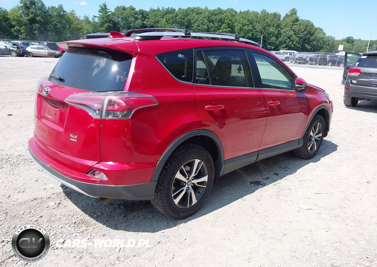 2016 Toyota Rav4 Xle VIN:2T3RFREV3GW446485 - 4