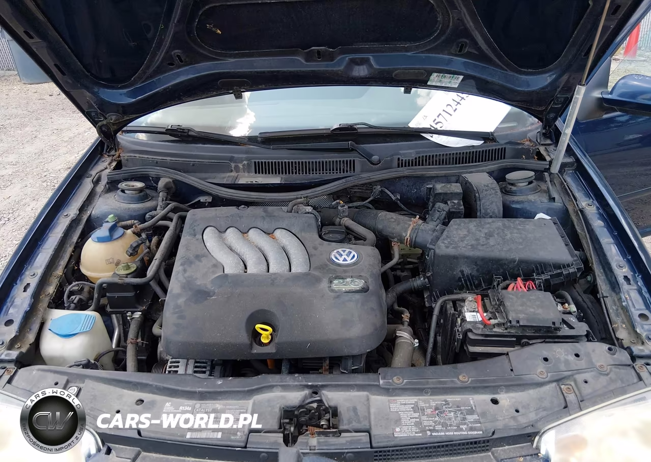 2003 Volkswagen Jetta Gl VIN:3VWRK69M73M066487 - 10