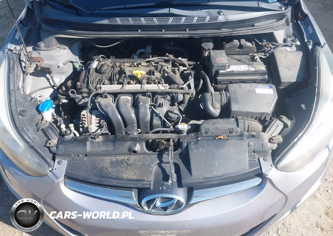 2014 Hyundai Elantra Limited VIN:KMHDH4AE6EU105889 - 10