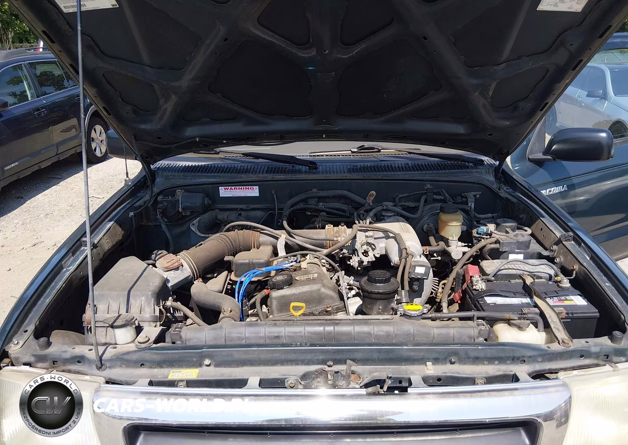 1998 Toyota Tacoma VIN:4TAPM62N7WZ175084 - 10