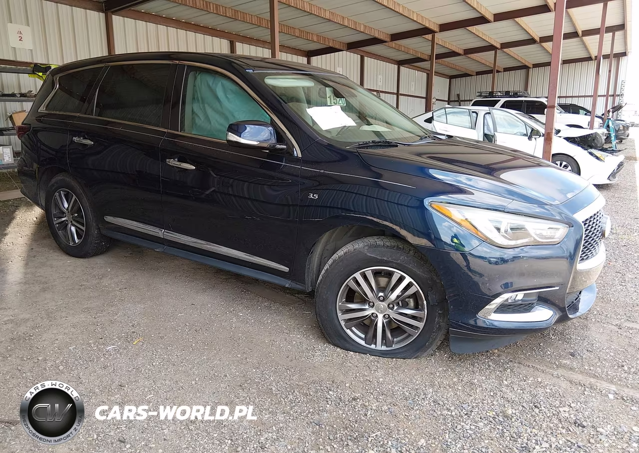 2020 Infiniti Qx60 Pure Awd VIN:5N1DL0MM8LC500086 - 1