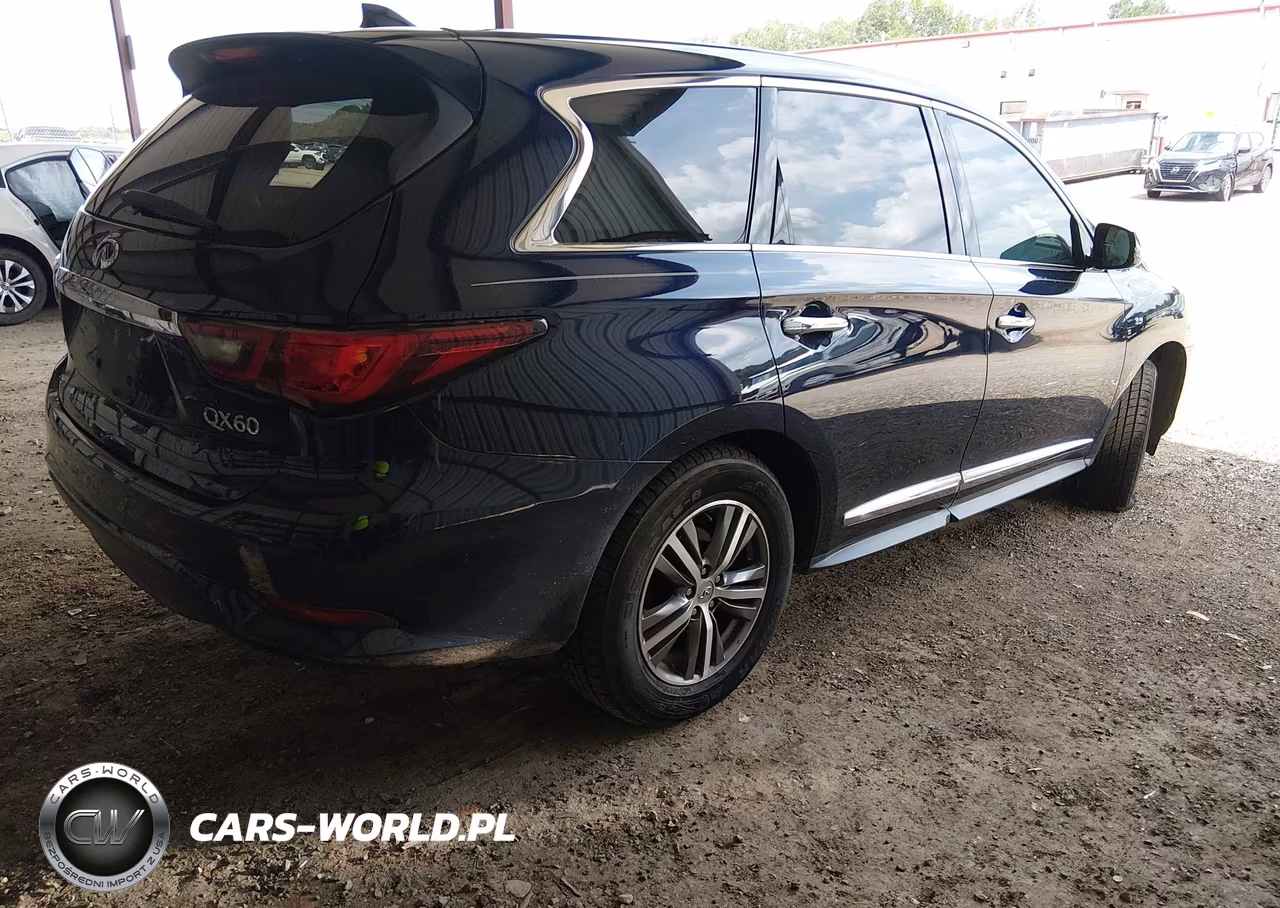 2020 Infiniti Qx60 Pure Awd VIN:5N1DL0MM8LC500086 - 4