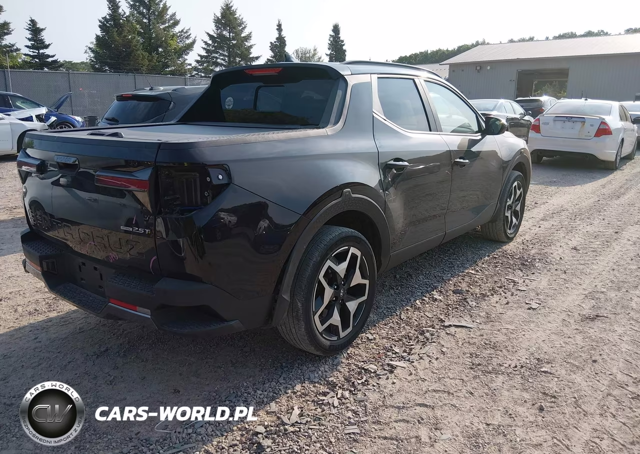 2023 Hyundai Santa Cruz Limited VIN:5NTJEDAF6PH049959 - 4